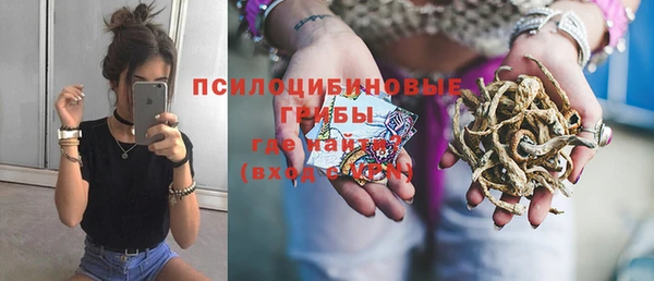 MESCALINE Надым
