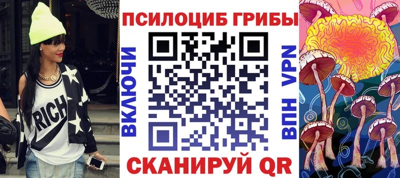 Галлюциногенные грибы Psilocybe  Хилок 